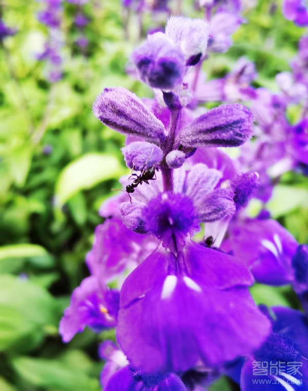 同时补硒和锌的食物（补锌补硒食物）-硒宝网