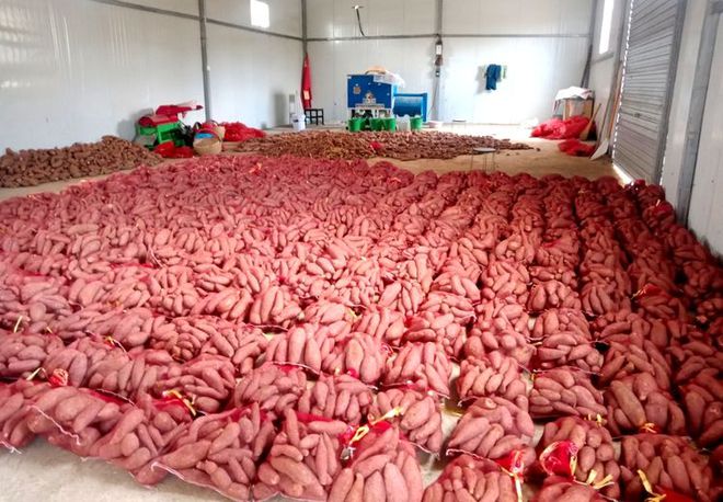 不同人群补硒用量表（补充硒的量）-硒宝网