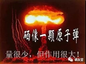 补硒关于心脏的视频（硒补足了对心脏的好处）-硒宝网