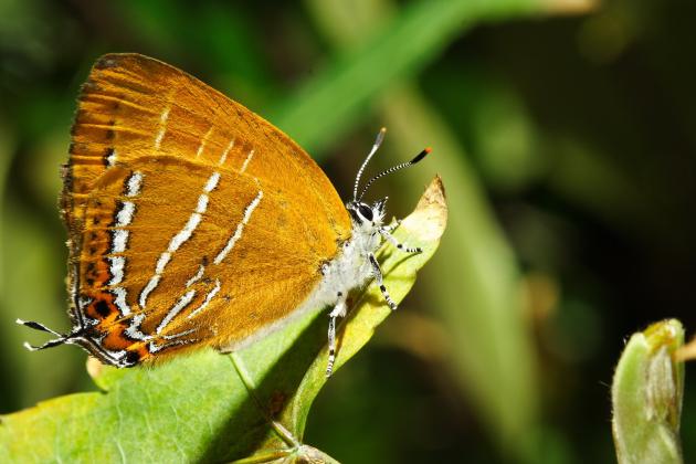 肝癌患者能不能补硒(肝癌患者吃硒有用吗)-硒宝网