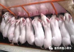 补硒最好的药品名称（药店有补硒的药品）-硒宝网