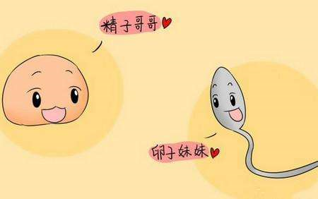 备孕期间需要补硒吗（备孕期间能吃补硒的保健品吗）-硒宝网