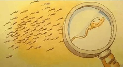 备孕期间需要补硒吗（备孕期间能吃补硒的保健品吗）-硒宝网