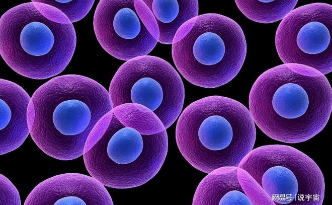 补硒后头发会变好吗（补硒后头发不怎么掉了）-硒宝网