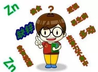 怎样补锌(补锌的蔬菜)-硒宝网
