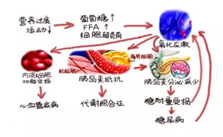 补硒能提高白蛋白吗(蛋白能补白提高硒含量吗)-硒宝网