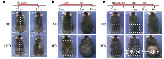 补硒会不会引起过敏(过敏和缺硒有关系吗)-硒宝网