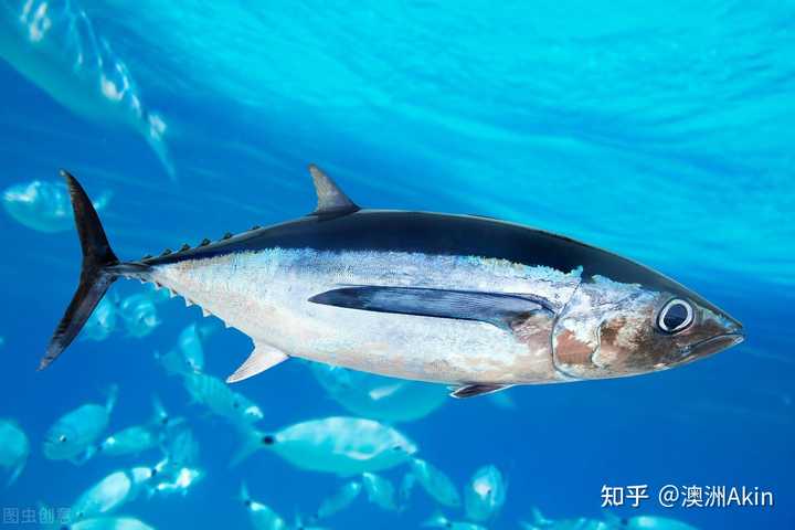 补硒会不会引起过敏(过敏和缺硒有关系吗)-硒宝网