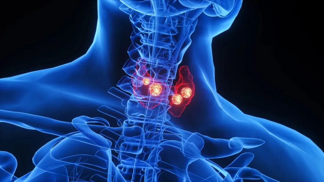 孕期甲减可以补硒吗(怀孕甲减必须吃硒酵母片)-硒宝网