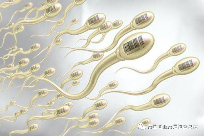 备孕补锌(备孕补锌吃什么药)-硒宝网