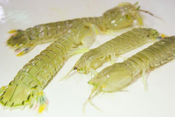 骨质疏松如何补钙（骨质疏松补钙的食物有哪些）-硒宝网