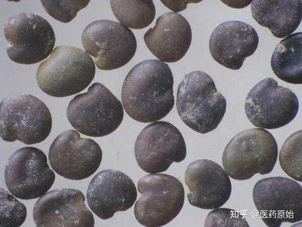 微量元素有(微量元素有必要检查吗)-硒宝网