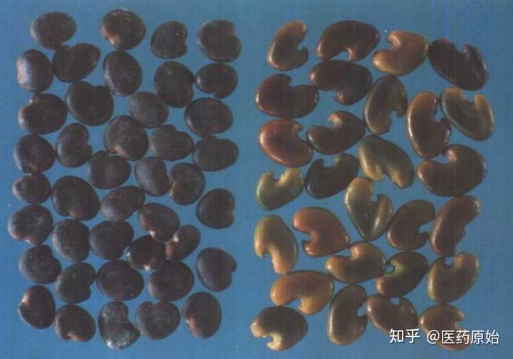 微量元素有(微量元素有必要检查吗)-硒宝网