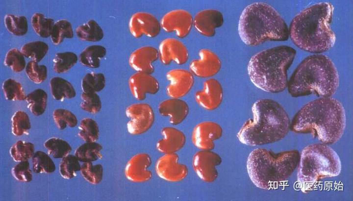 微量元素有(微量元素有必要检查吗)-硒宝网