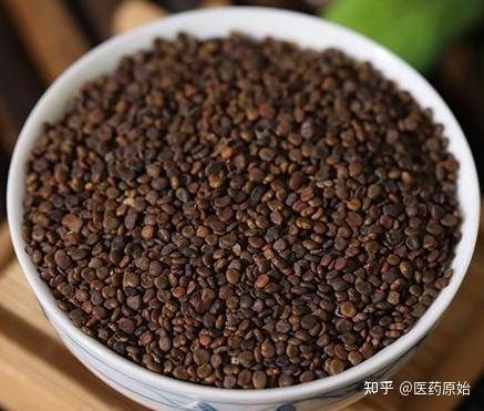 微量元素有(微量元素有必要检查吗)-硒宝网