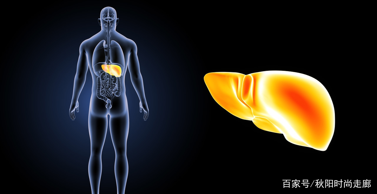 有什么西药可补硒吗(补硒的药有害)-硒宝网