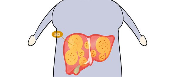 有什么西药可补硒吗(补硒的药有害)-硒宝网