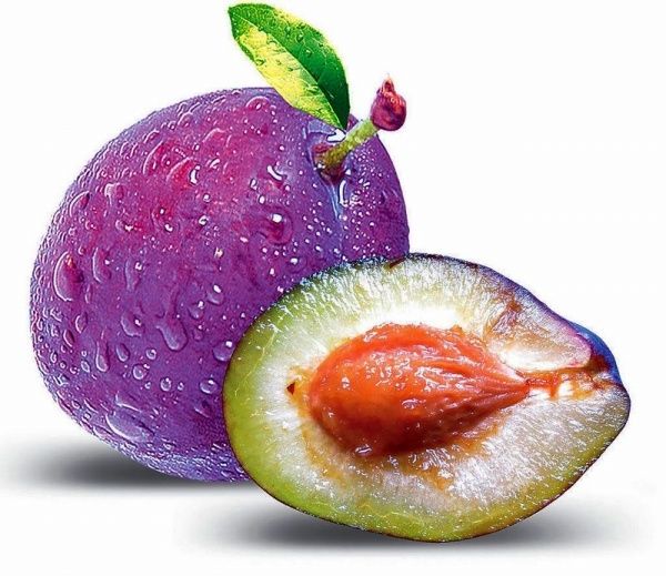 低血压能补植物硒吗(血压能补植物低硒吗)-硒宝网