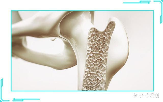 肾结石患者如何补钙(肾结石补钙患者吃什么)-硒宝网