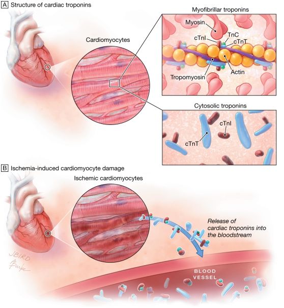 葡萄糖补钙吗(葡萄糖钙好吗)-硒宝网