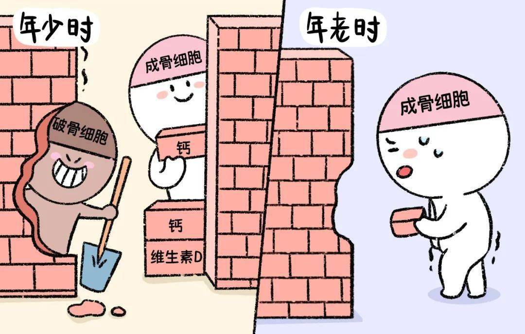 葡萄糖补钙吗(葡萄糖钙好吗)-硒宝网