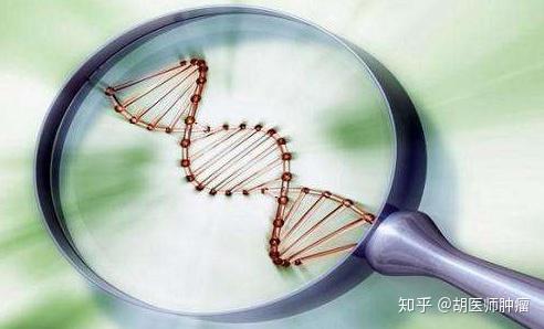 缺硒会上火吗怎么补（缺硒会发胖吗）-硒宝网