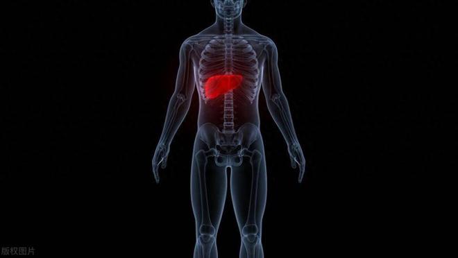 补硒对肝硬化的疗效（肝硬化吃硒管用吗）-硒宝网