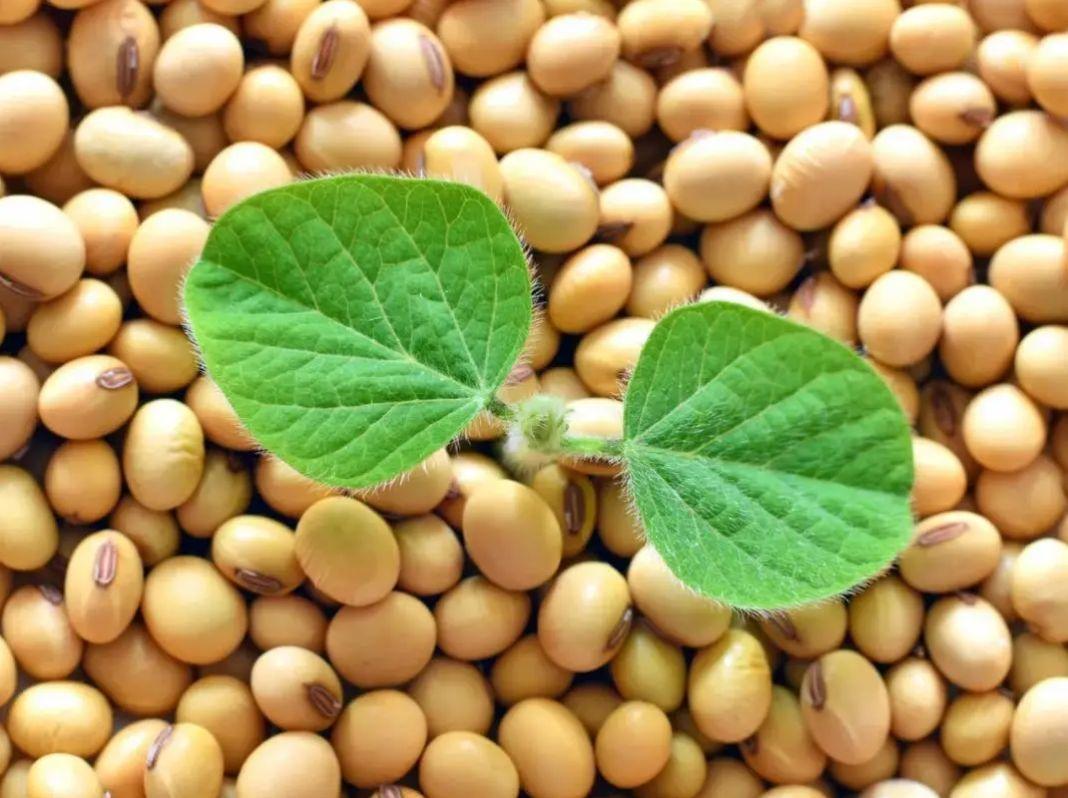 全民补硒工程是真吗（全民补硒工程网站地址）-硒宝网