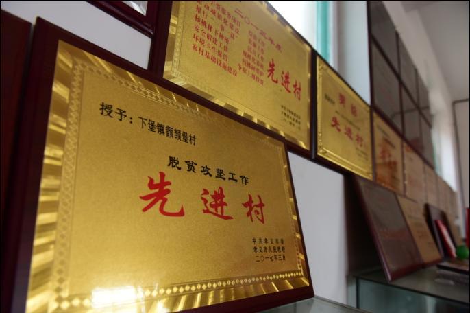 全民补硒工程是真吗(全民补硒工程发起人是谁)-硒宝网