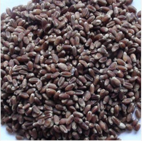 麦片补钙吗(补钙麦片什么牌子好)-硒宝网