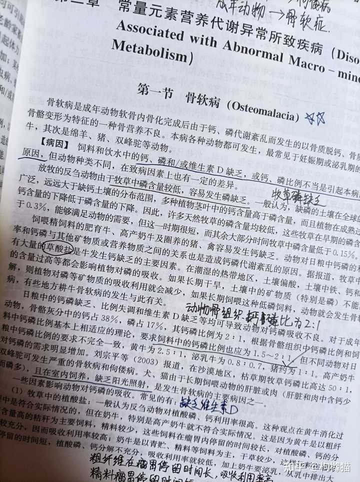 猪崽补硒中毒怎么办(猪补硒中毒怎么办)-硒宝网