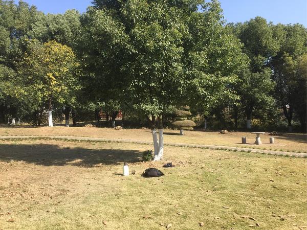 钛和硒可以同时补吗（钛硒粉是什么）-硒宝网