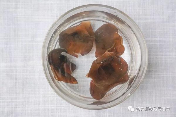 儿童补锌食谱（幼儿补锌食谱大全）-硒宝网