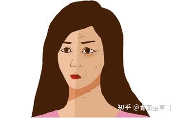 气血不足补铁有用吗(补铁对补气血有用吗)-硒宝网