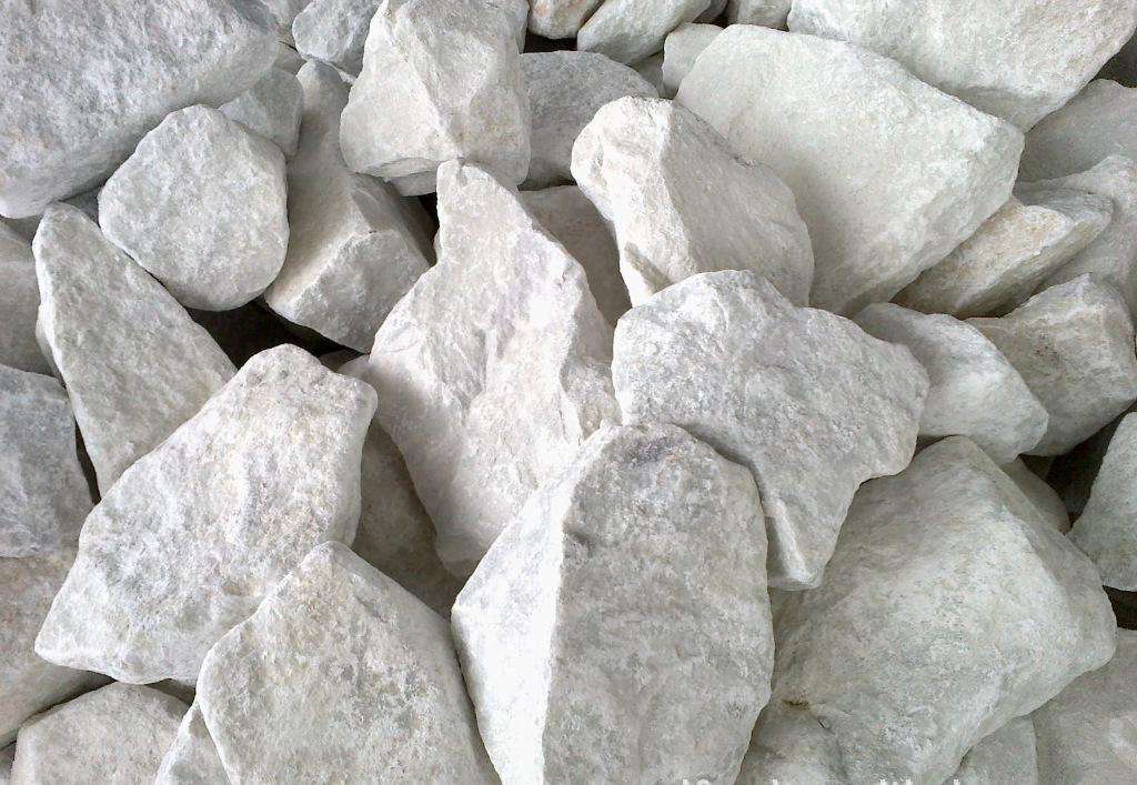 婴幼儿补钙哪种好（婴幼儿补充钙）-硒宝网