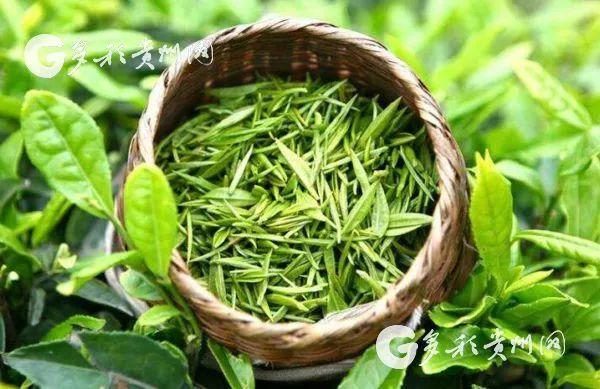 哪种茶能补硒元素多（补硒茶真的含有硒吗）-硒宝网