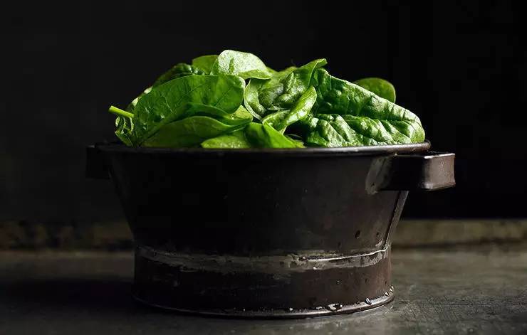 什么食物是补铁的(食材补铁)-硒宝网