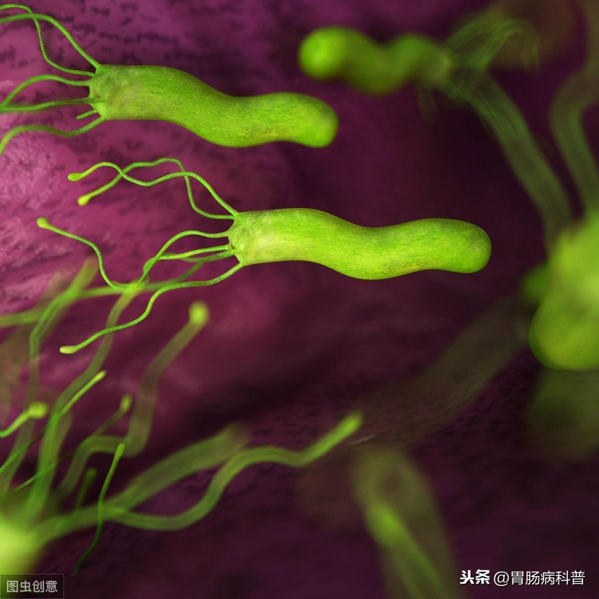 胆汁返流可以补硒吗(孕妇可以补硒吗)-硒宝网