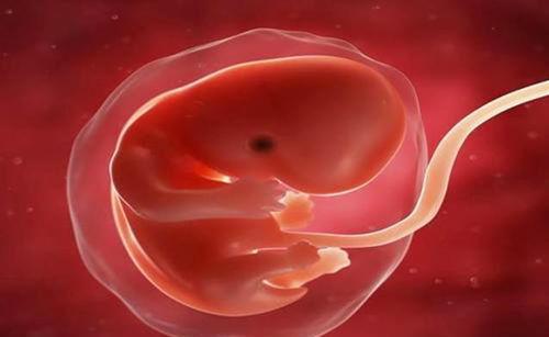 血磷偏低可以补硒么(磷低补什么)-硒宝网