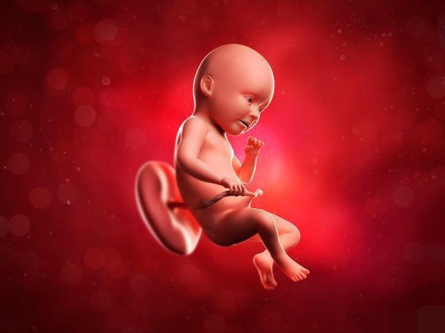 血磷偏低可以补硒么(磷低补什么)-硒宝网