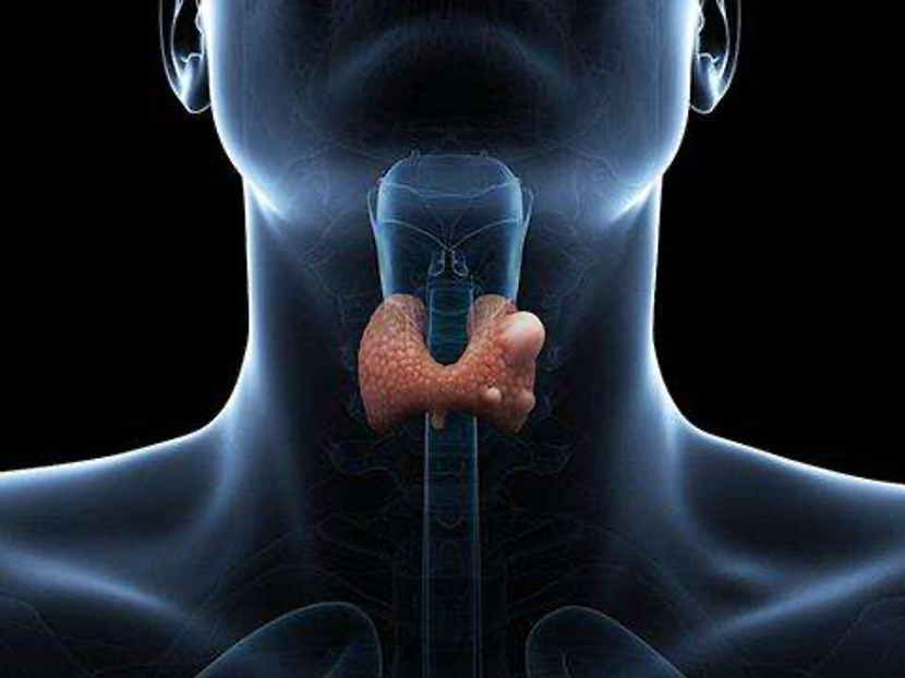 补硒对甲状腺有用吗（补甲状腺硒用有什么功效）-硒宝网