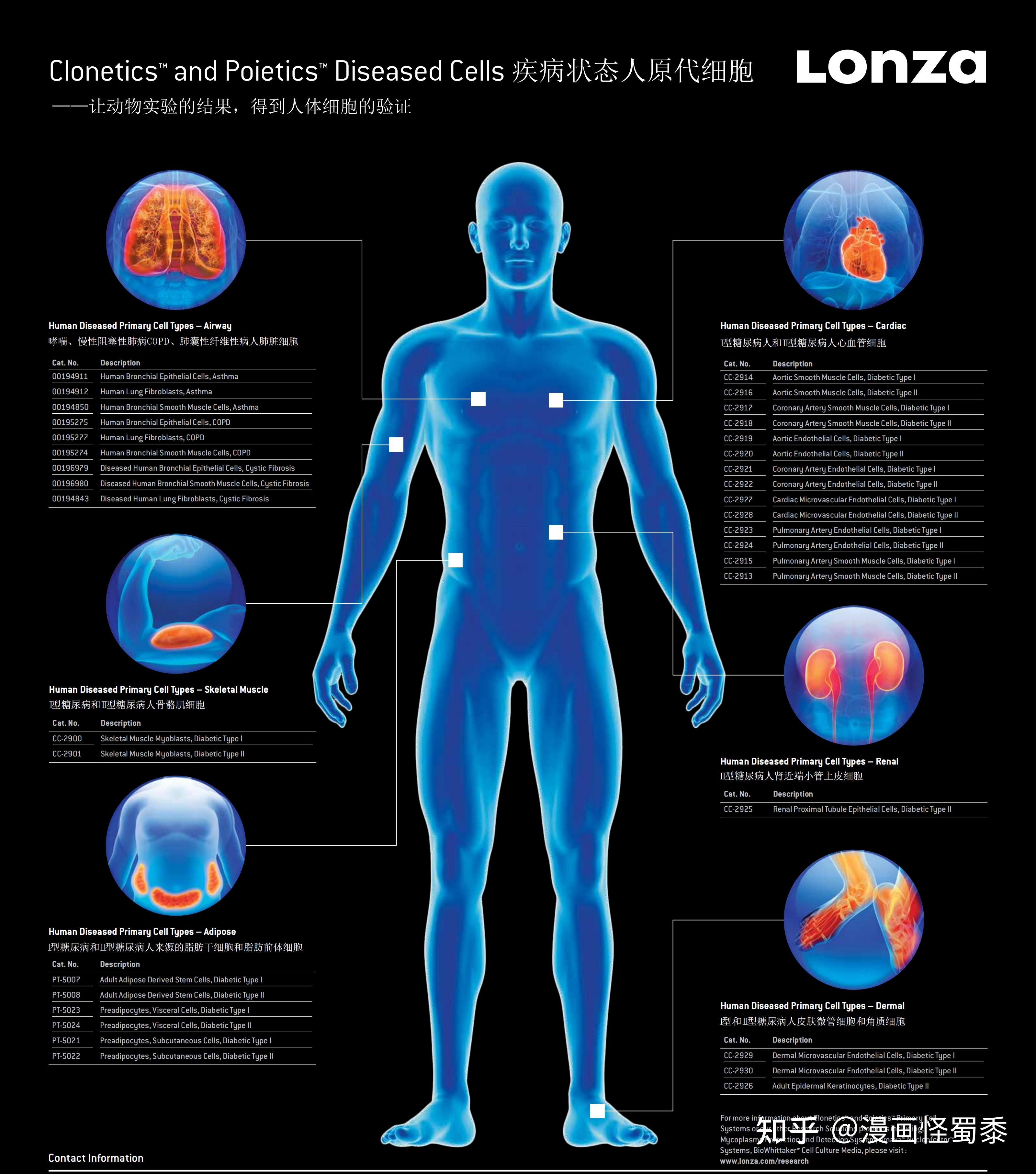 补硒好还是球蛋白好(蛋白硒有用吗)-硒宝网