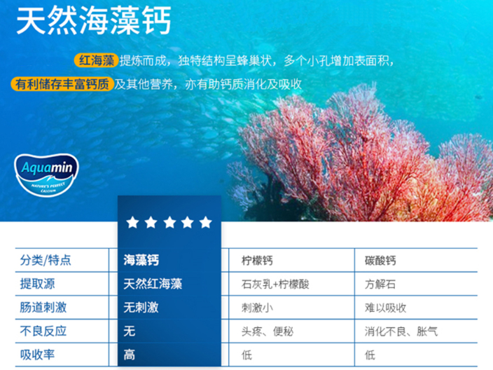 虾能补钙吗(虾补钙效果好不好)-硒宝网