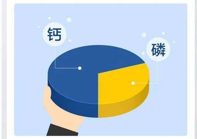 虾能补钙吗(虾补钙效果好不好)-硒宝网