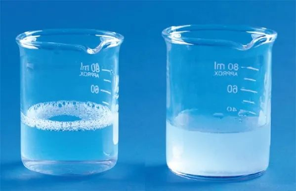 虾能补钙吗(虾补钙效果好不好)-硒宝网