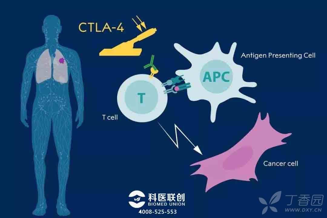 补硒好还是球蛋白好（蛋白硒多少钱一瓶）-硒宝网