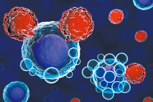 补硒好还是球蛋白好（蛋白硒多少钱一瓶）-硒宝网