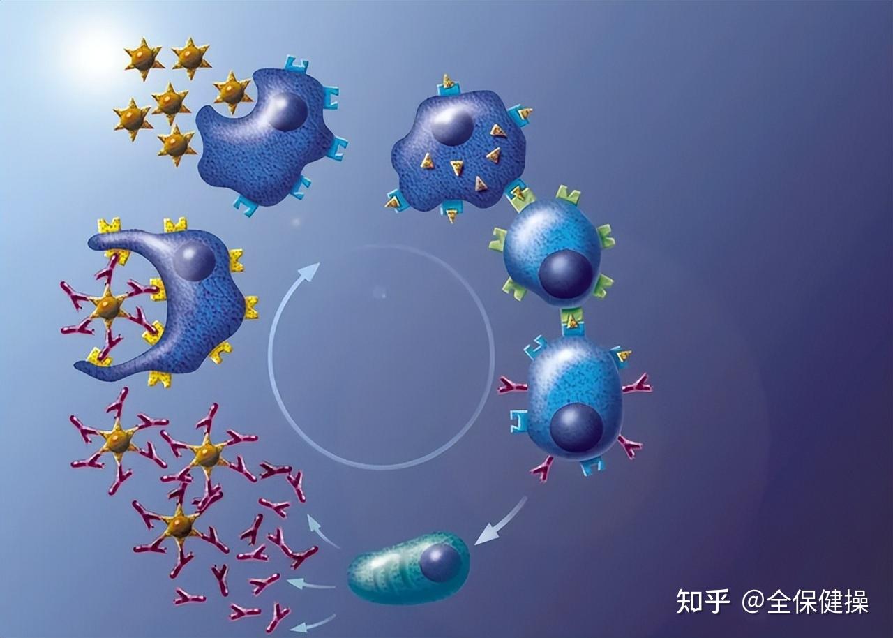补硒好还是球蛋白好（蛋白硒多少钱一瓶）-硒宝网