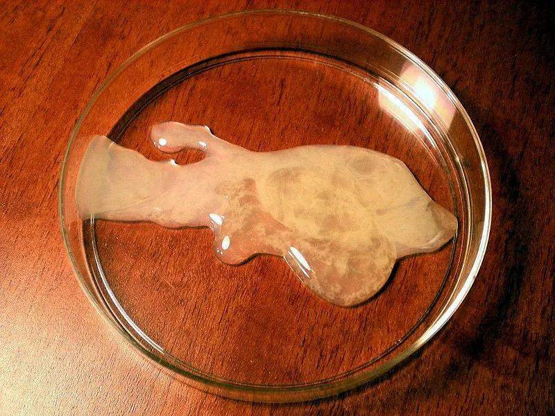 备孕男士需要补硒吗(备孕男士补硒每天补多少合适)-硒宝网