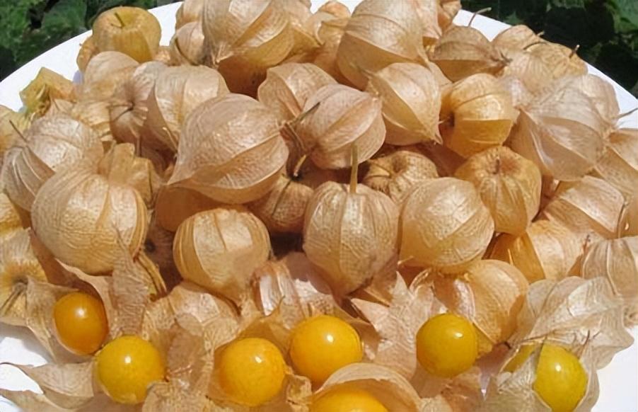 补硒的水果之王是谁（补硒的水果有哪些）-硒宝网